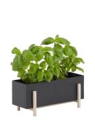 Botanic Herb Box Home Decoration Flower Pots Black Design House Stockh...