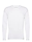 Long Sleeve Regular Tops T-shirts Long-sleeved White Bread & Boxers