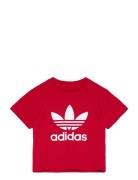 Trefoil Tee Tops T-shirts Short-sleeved Red Adidas Originals