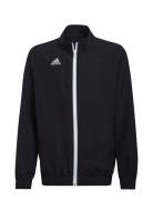 Ent22 Prejkty Sport Sweat-shirts & Hoodies Sweat-shirts Black Adidas P...