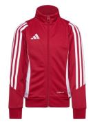 Tiro24 Trjkty Sport Sweat-shirts & Hoodies Sweat-shirts Red Adidas Per...