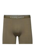 Men Merino 150 Anatomica Boxers Boksershorts Green Icebreaker