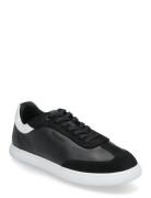 Cupsole Lace Up - Lth Sue Mix Lave Sneakers Black Calvin Klein